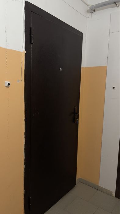 Дверь входная 860 мм