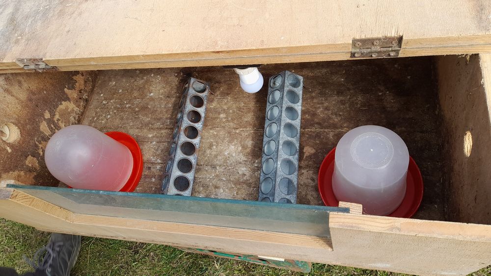 Vând cușcă pentru prepelițe