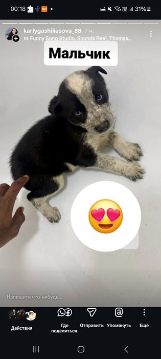 Отдам в Добрые руки мальчик и девочка