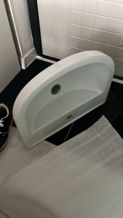 Раковина тюльпан