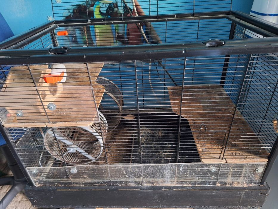 Cușcă pentru rozătoare