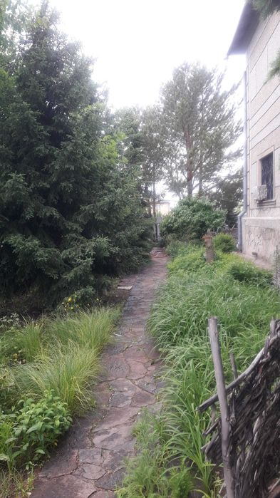 Продам дом с готовым бизнесом.