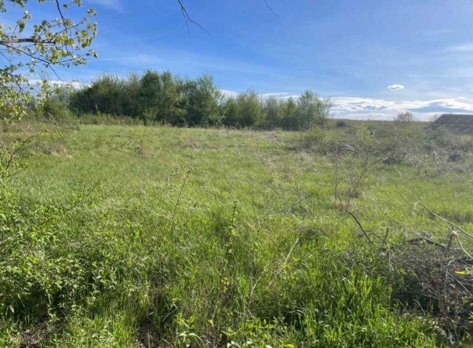 Продава се Парцел в с. Велчево, Област Велико Търново - 1100 кв.м за 18 €/кв.м - Снимка #3