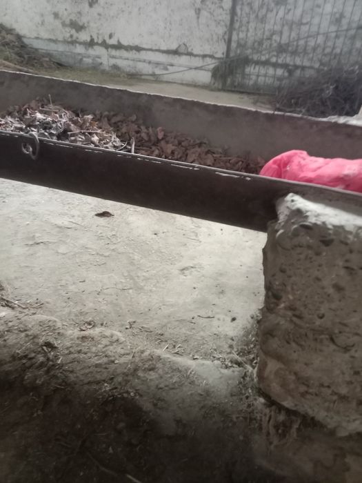 Ohur mol hona uchun  50 метир бор сотаман