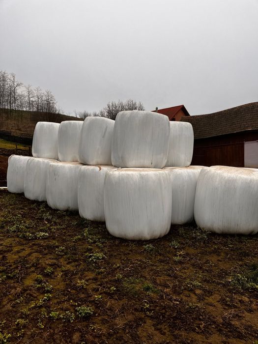 Vand baloti uscati / infoliati