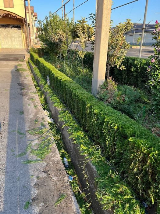 Tuya archadan zabor qlamz