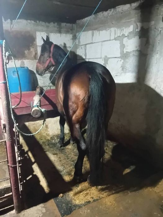 IAPĂ de fugă și de muncă