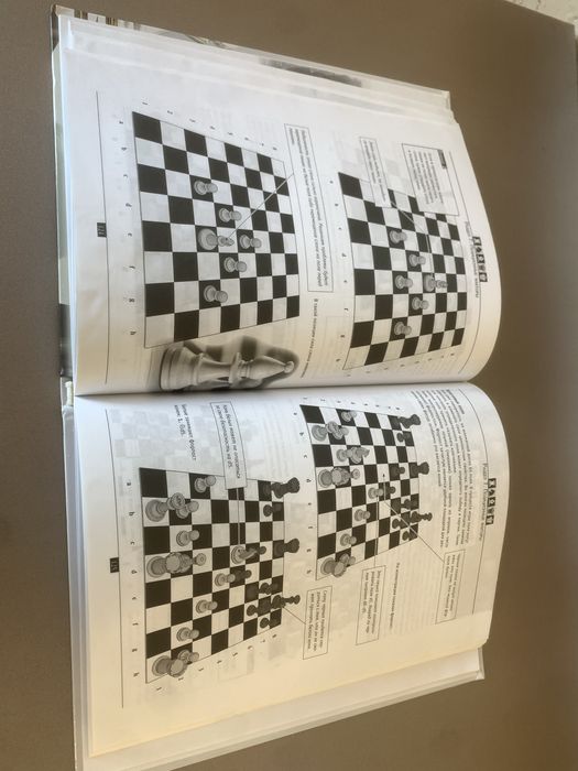 Книга про шахмат
