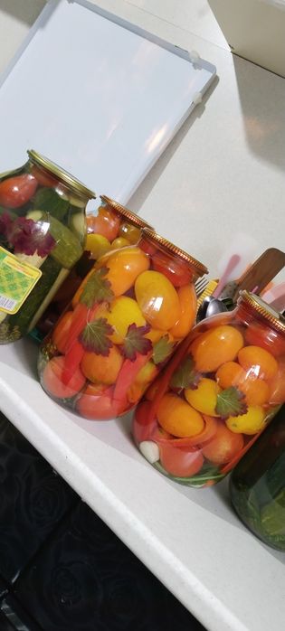 Соленья огурцы. Помидоры КОНЧИЛИСЬ