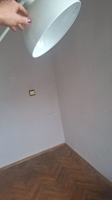 Лампион, висок 1. 63  метра , извит