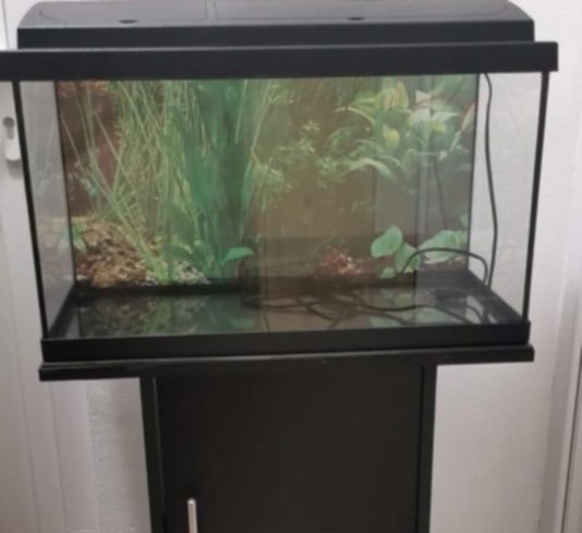 Acvarii diferite dimensiuni de la 10 litri la 250 de litri