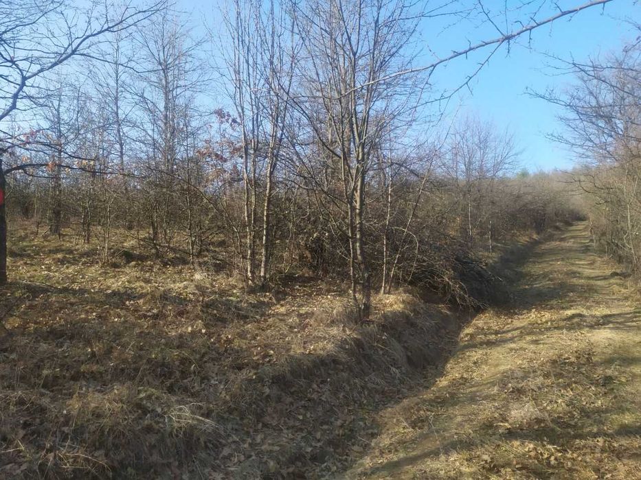 Продава се Земеделски имот в с. Войнежа, Област Велико Търново -  кв.м за 738 €/дка - Снимка #2