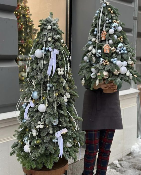 Елки, венки, гирлянды живые