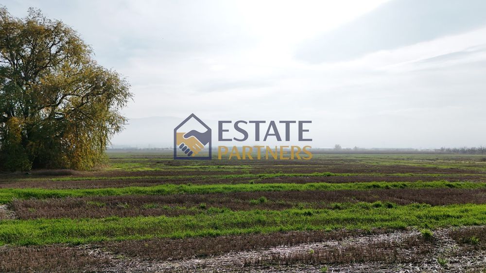 Продава се Парцел в Пловдив, Беломорски - 650 кв.м за 46 €/кв.м - Снимка #2