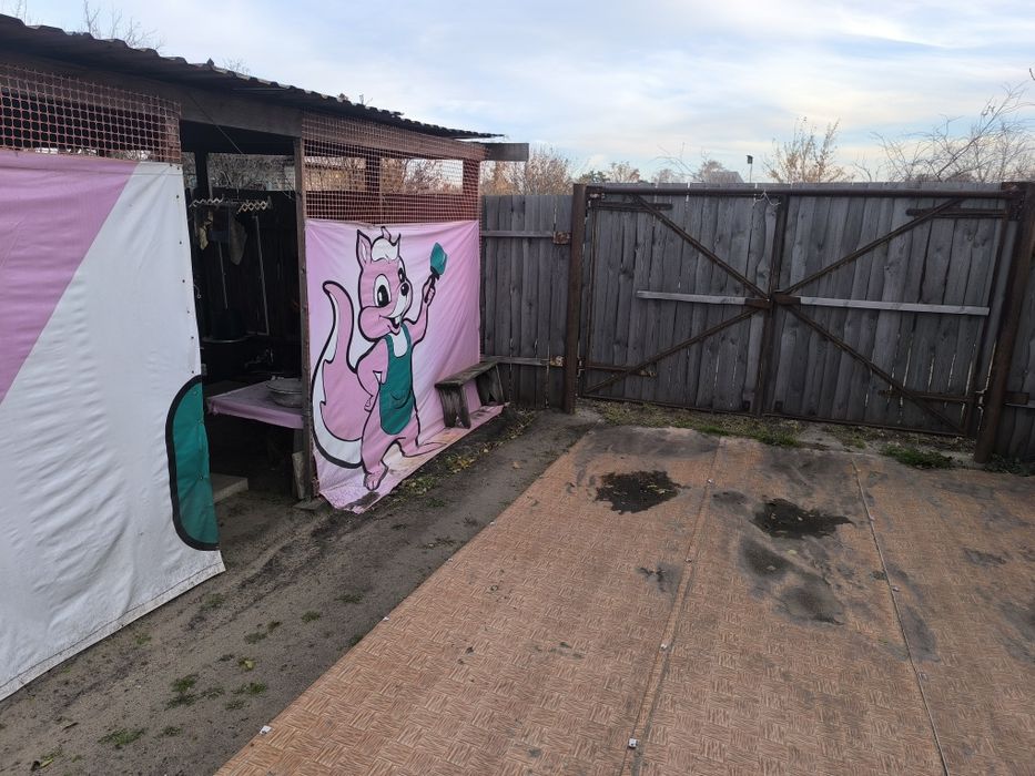 19 общество дача