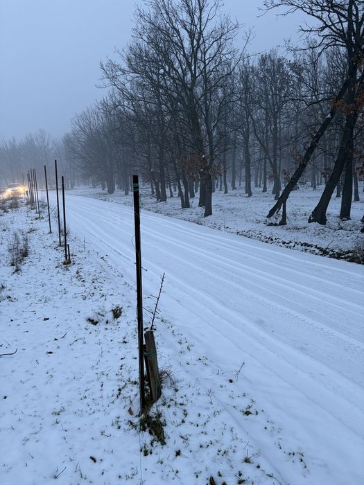 Teren intravilan Palilula 1000mp