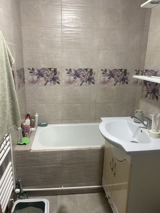 dau in chirie garsoniera