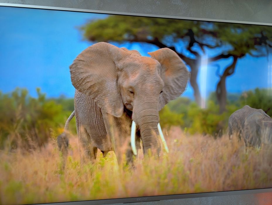 Компютър Intel (R) core (TM) i3-10100 CPU  3.60 GHz 32 RAM NVIDIA