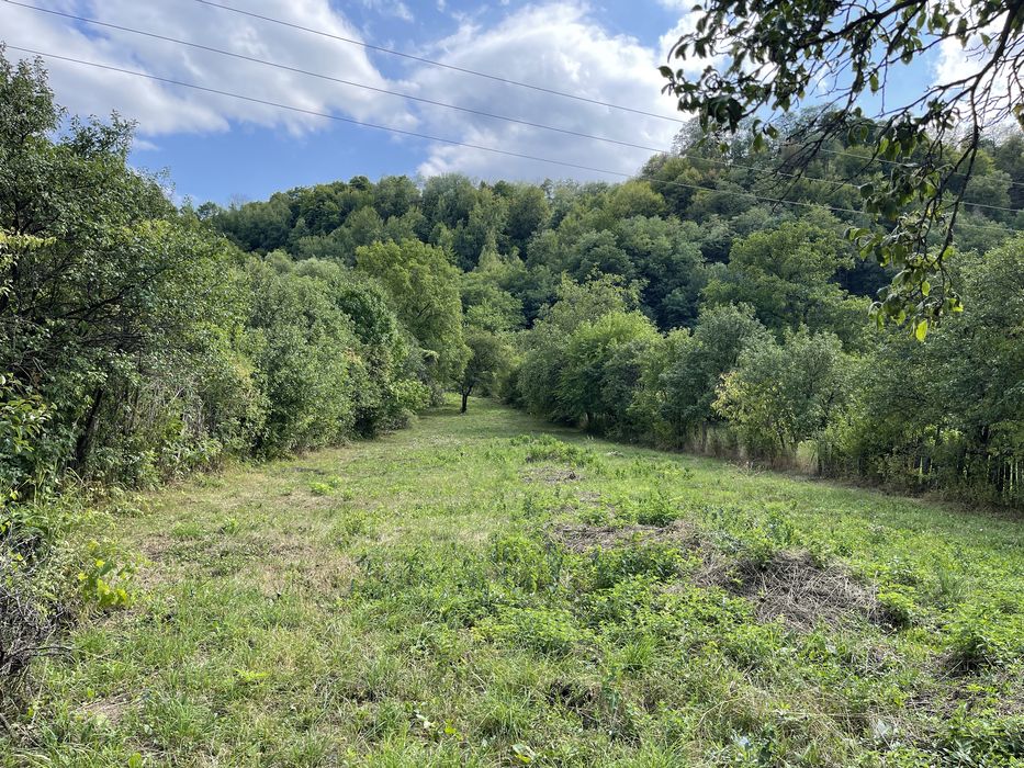 Teren de vanzare Targu Ocna