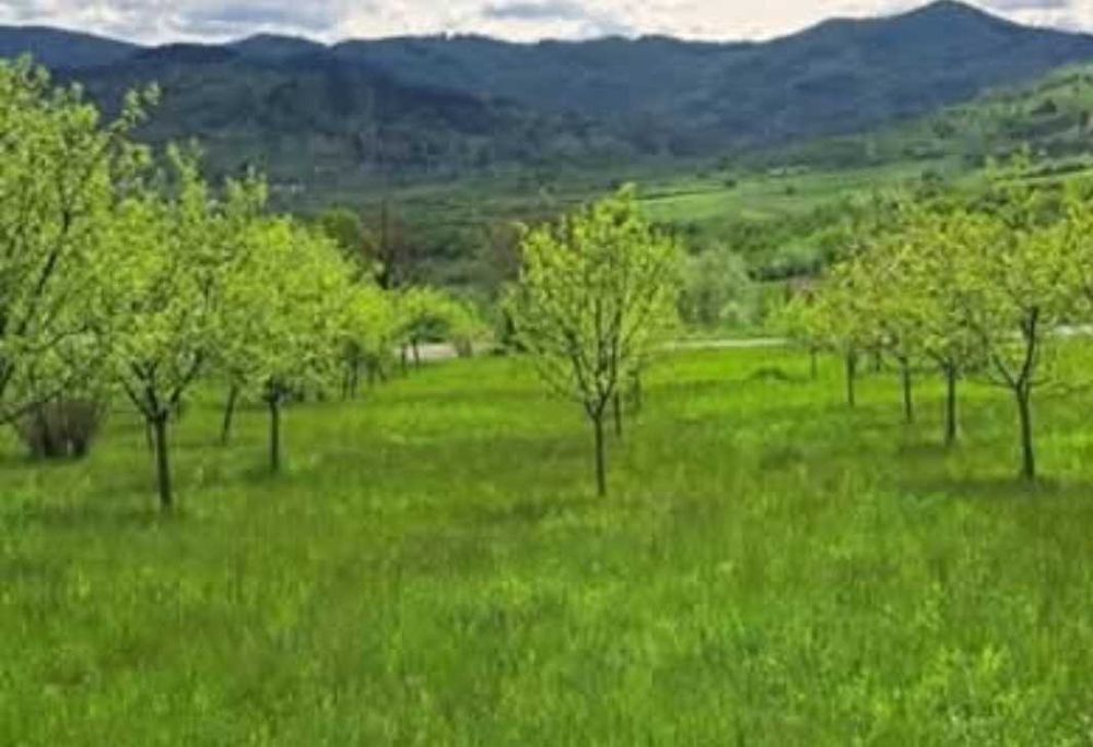 Teren de vânzare Rona de jos