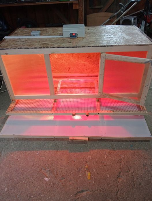 Maternitate pui de o zi