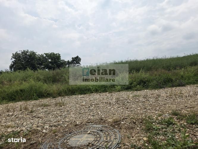 Ciolpani - Padurea Snagov 628 Mp, Toate Utilitatile, Padure, 18 Deschi