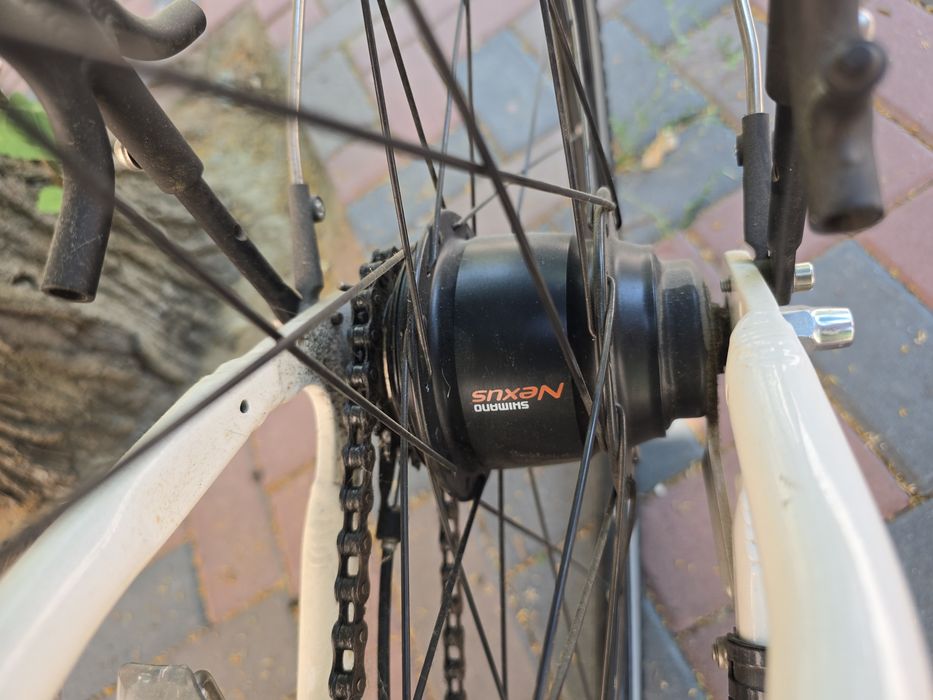 Bicicleta Gepida Alboin 300 Trekking