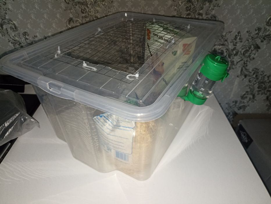 Для хомяка за 3500 тг