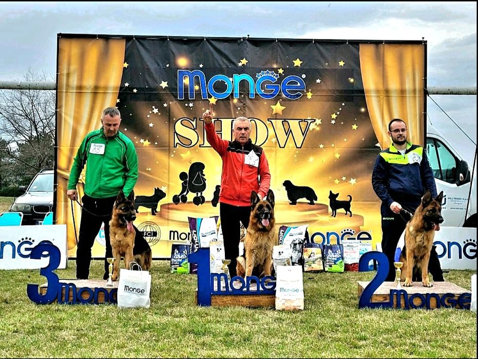 Развъдник за немски овчарки