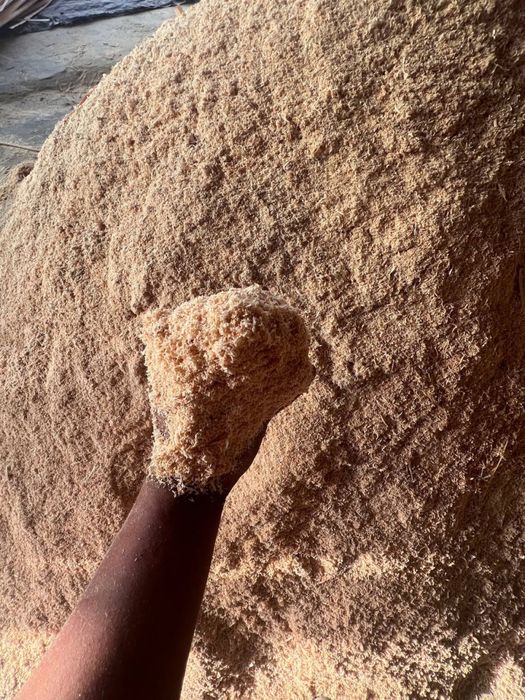 Apilka mayda va yirik