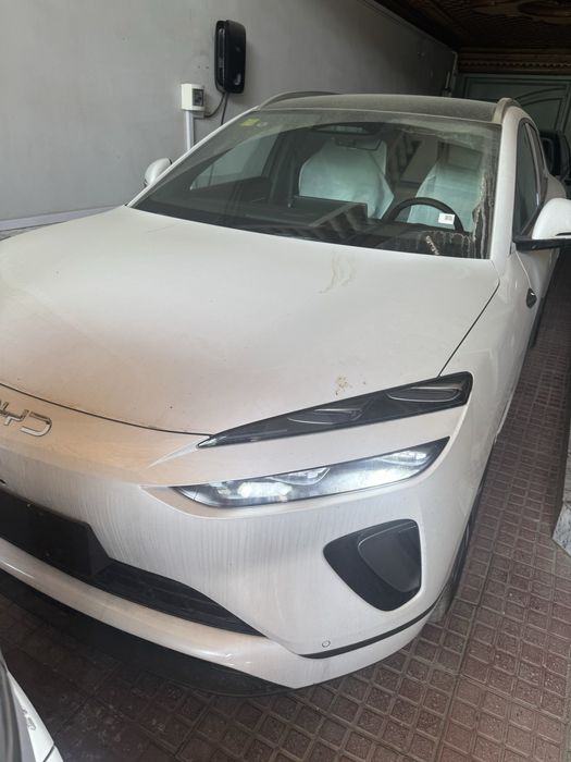 Byd sea lion 06 full