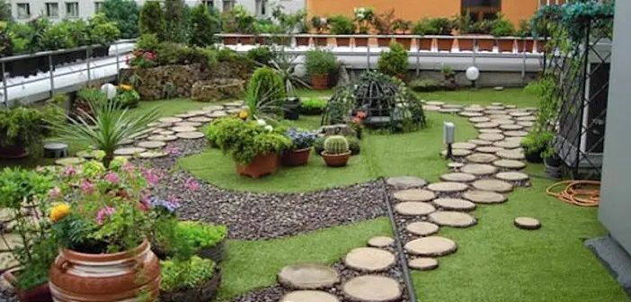 Чернозем и Хумус