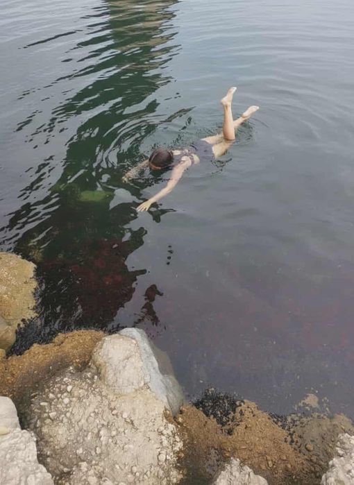 Морски деликатеси Мида, Рапан пресни