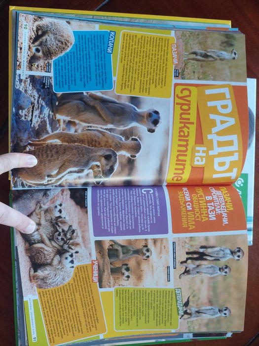 National Geographic Книги Твърди Корици