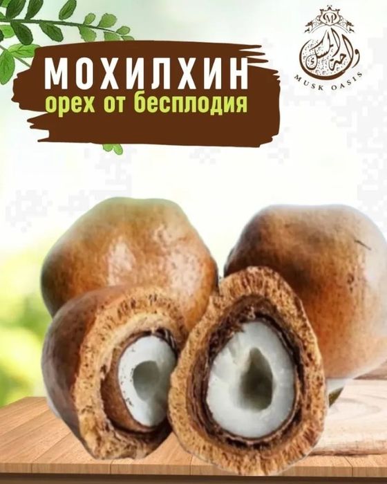 Орех мохалхин от бесплодия