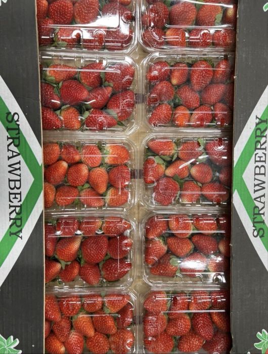 Клубника для шоколада