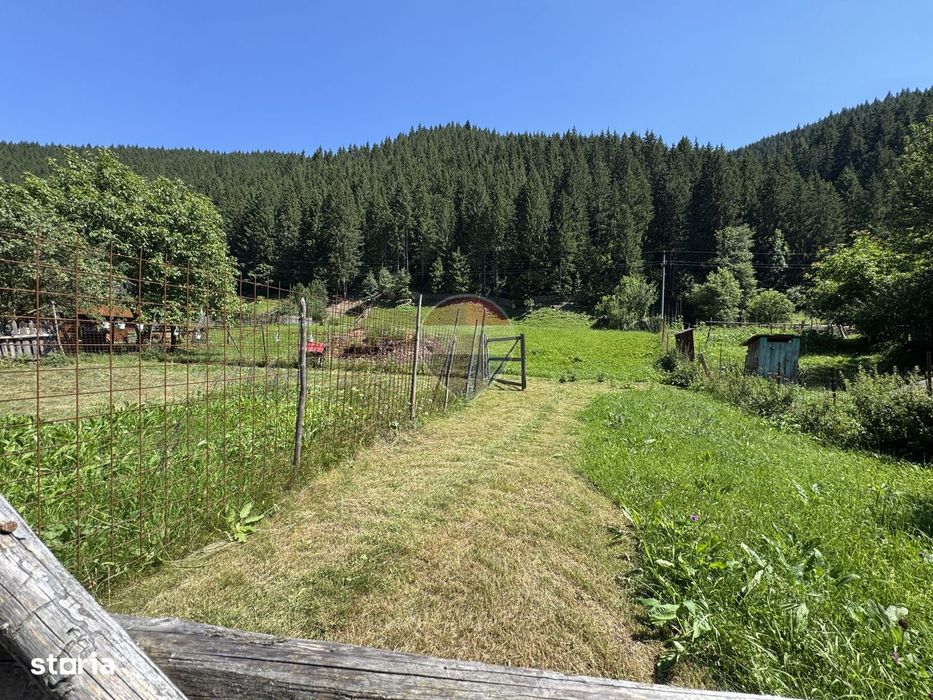 De vanzare | Casa si teren 5412mp , Scoala Sabasa | Borca | Neamt