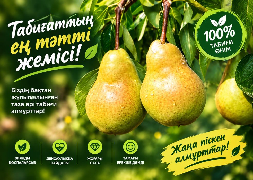 Продается саженцы Груши
