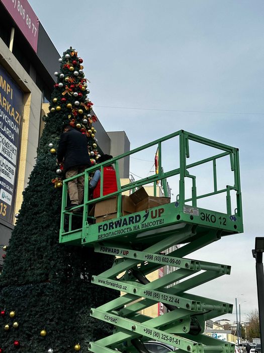 леса электрические пикониска