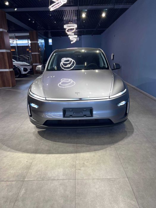 TESLA MODEL Y PLUS AWD Long Range dual motor