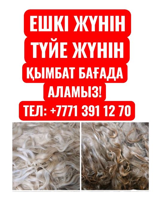 Ешкі жун,Козья шерсть