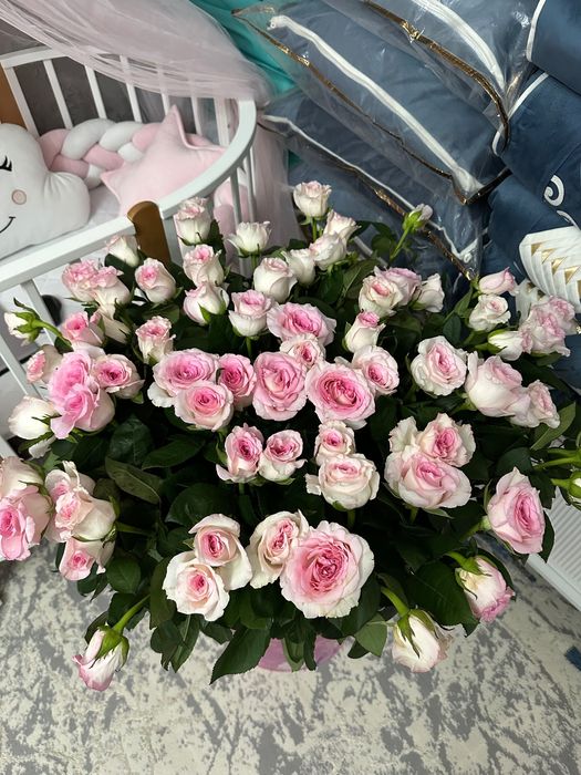 Розы с хорошим ароматом