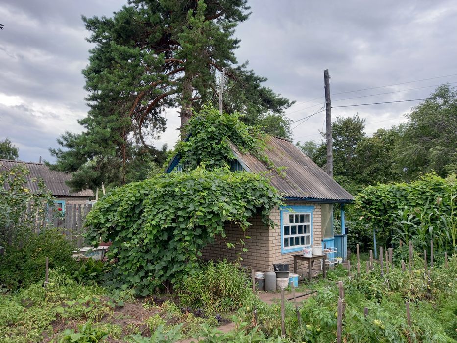 Продам дачу. Мелиоратор