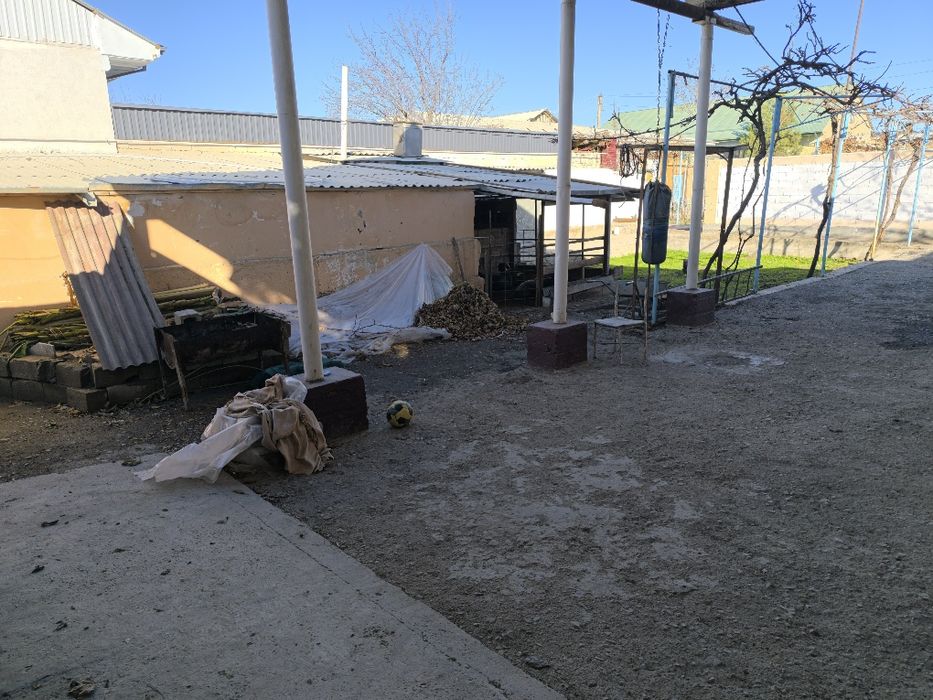 Hovli sotiladi 5 sutix