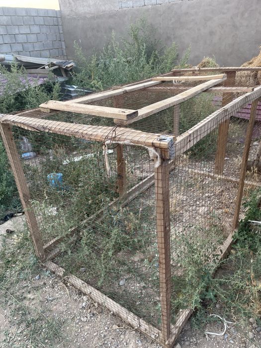 Тауық, балапан салатын сетка