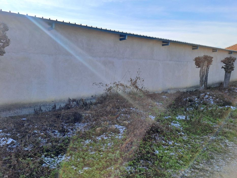 Цех Производствено помещение,Сушилня