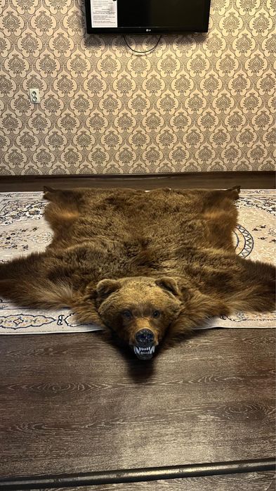 Медвежья шерсть
