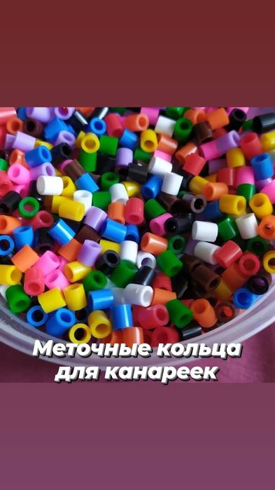 Корм для канарейк и диких птиц