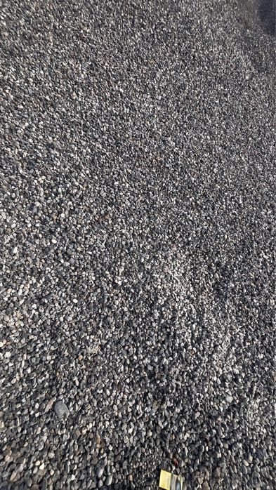 шебень митыи галка