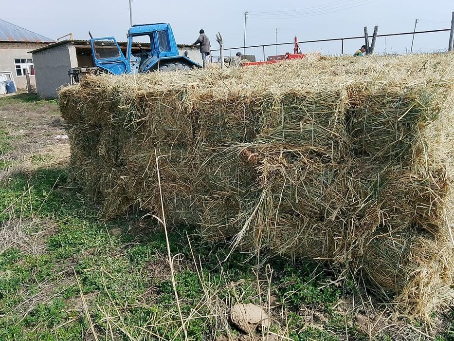 Шөп пресс сатылады Жоңышқа мен аралас орылған